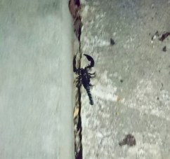 276b1e66-c6dc-4b8c-b07a-b364fa510298